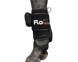 Led Therapy Pad Small (Huur per week)